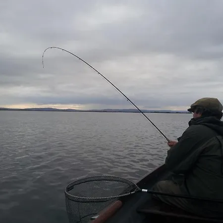 Corrib View Pensión 4*